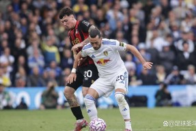 开云中国网站-包含法甲今夜再迎强敌；多伦多猛龙止住颓势；主帅态度——质疑声仍在；资深球员宣示担当的词条